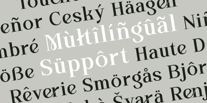 Overse Font Poster 12