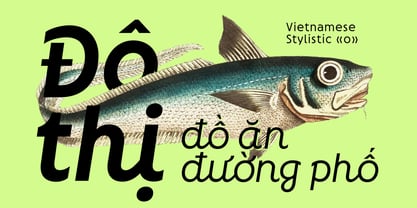 Neopol Script Font Poster 2