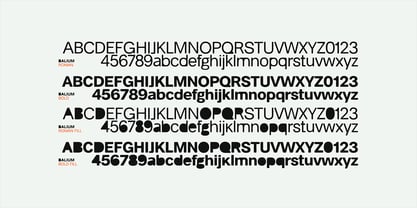 Balium Font Poster 7