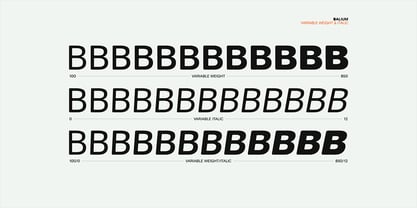 Balium Font Poster 13