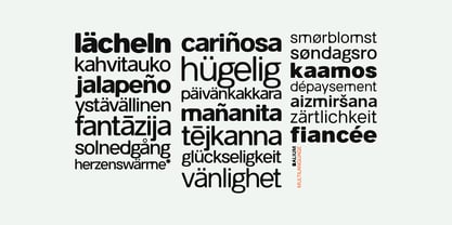 Balium Font Poster 8