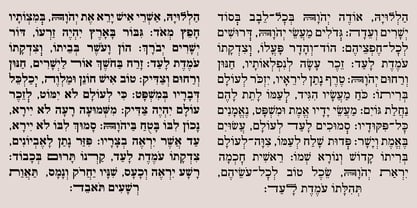 Hebrew Rinat 217 Tanach Font Poster 3