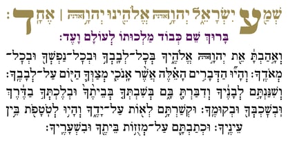 Hebrew Rinat 217 Tanach Font Poster 4