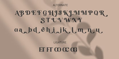 Huntro Font Poster 10