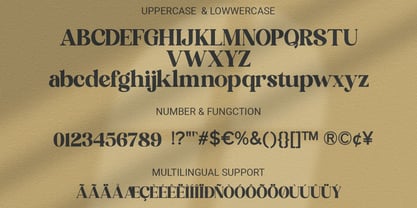 Huntro Font Poster 11