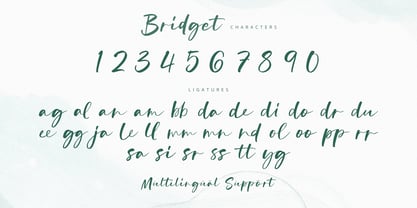Bridget Font Poster 10