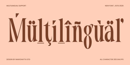 Elient Font Poster 9
