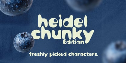 Heidel Font Poster 1