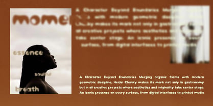 Heidel Font Poster 5