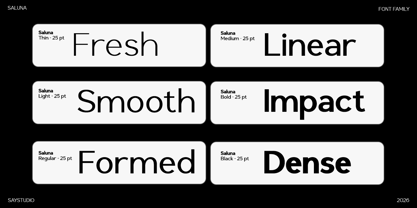 Saluna Font Poster 6