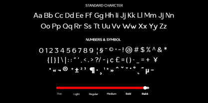 Saluna Font Poster 12