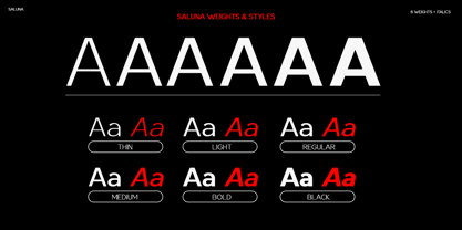 Saluna Font Poster 14
