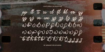 Vantage Costieno Font Poster 12