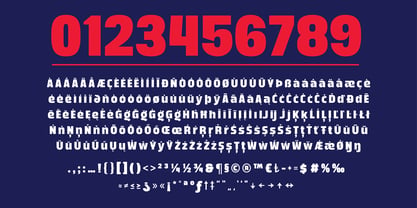 Bigma Font Poster 8