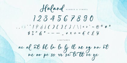 Haland Font Poster 9