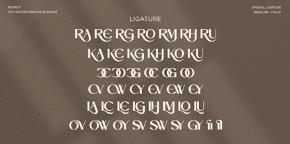 Bovacy Font Poster 11