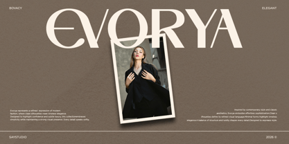 Bovacy Font Poster 2