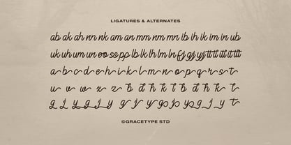 Alontima Font Poster 12