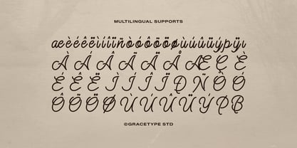 Alontima Font Poster 11