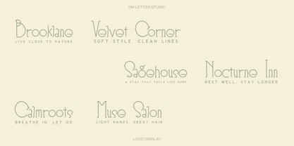 Linova Font Poster 6