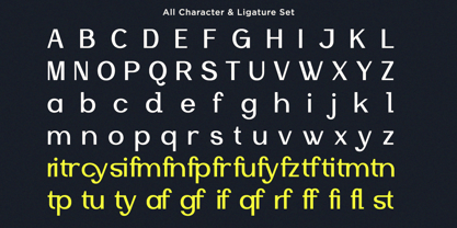 Qafine Font Poster 9