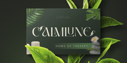 Brideside Font Poster 7