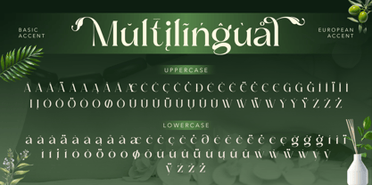 Brideside Font Poster 11