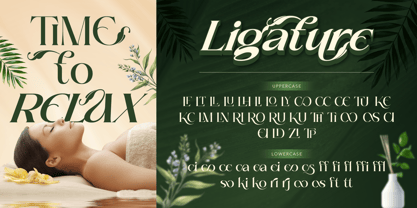 Brideside Font Poster 8