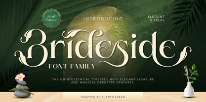 Brideside Font Poster 1