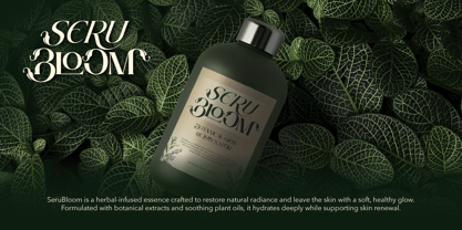 Brideside Font Poster 5