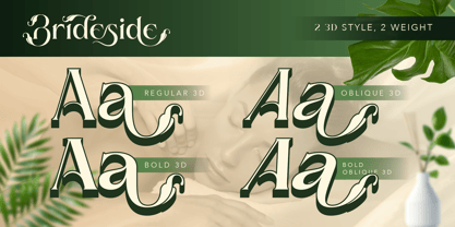 Brideside Font Poster 6