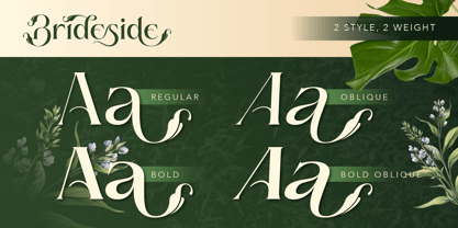 Brideside Font Poster 4