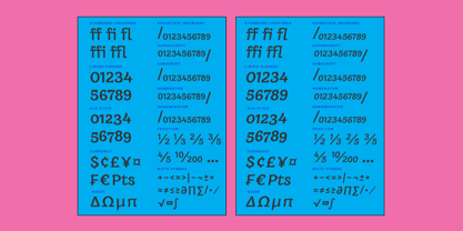 UT Bigha Font Poster 7
