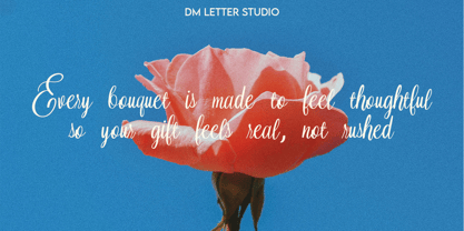 Nuptalia Font Poster 5