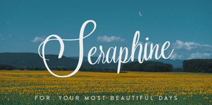 Nuptalia Font Poster 4