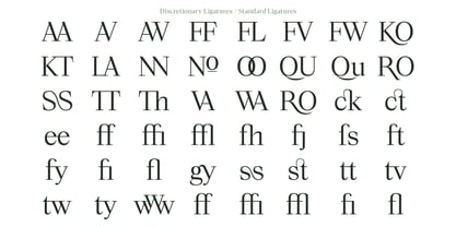 Lubea Serif Font Poster 7