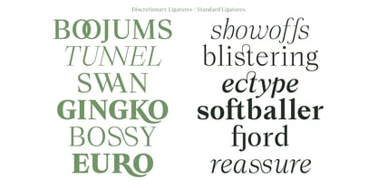 Lubea Serif Font Poster 11
