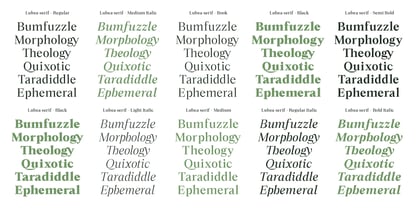Lubea Serif Font Poster 5