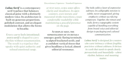 Lubea Serif Font Poster 9