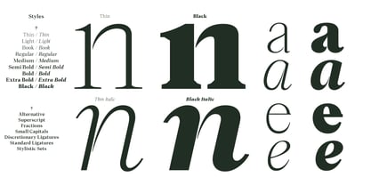 Lubea Serif Font Poster 4
