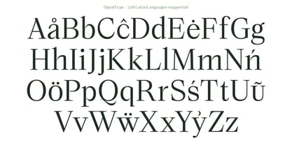 Lubea Serif Font Poster 13