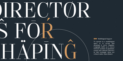 GC Pregio Font Poster 15