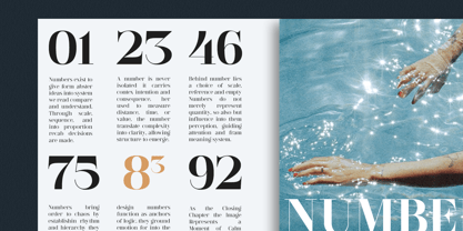 GC Pregio Font Poster 11
