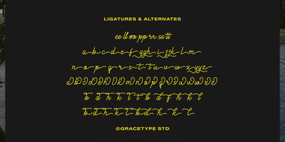 Cauloid Font Poster 12