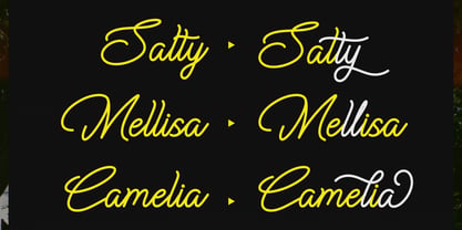 Cauloid Font Poster 6