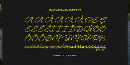 Cauloid Font Poster 11