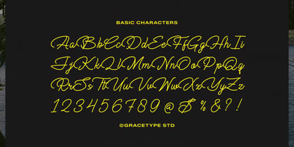 Cauloid Font Poster 10