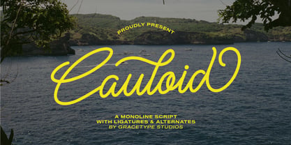 Cauloid Font Poster 1
