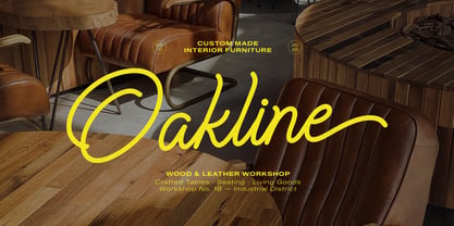 Cauloid Font Poster 2