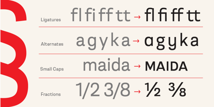 Berna Font Poster 10